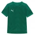 Детская футболка Puma Final Stdm Jrsy Jn99 Green/Green