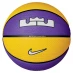 Nike Lebron Playground Purple/Black