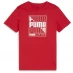 Puma CAMO Logo Tee B Red Graphic