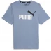 Puma 2 Col Logo Tee Zen Blue