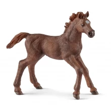 Schleich Horse Club English Thoroughbred Foal Horse Toy
